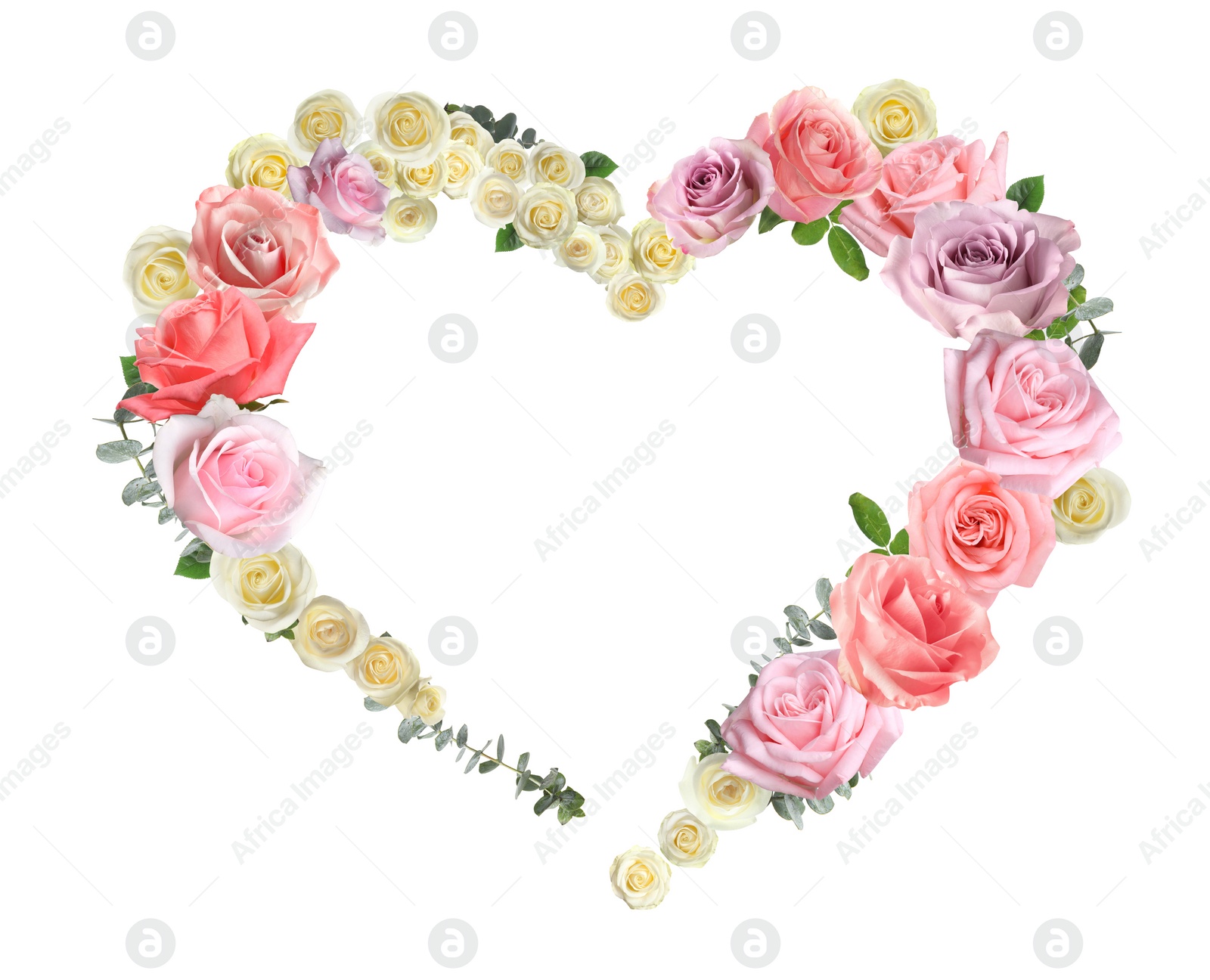 Image of Heart made of beautiful roses on white background