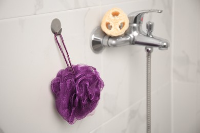 Purple shower puff and loofah sponge in bathroom