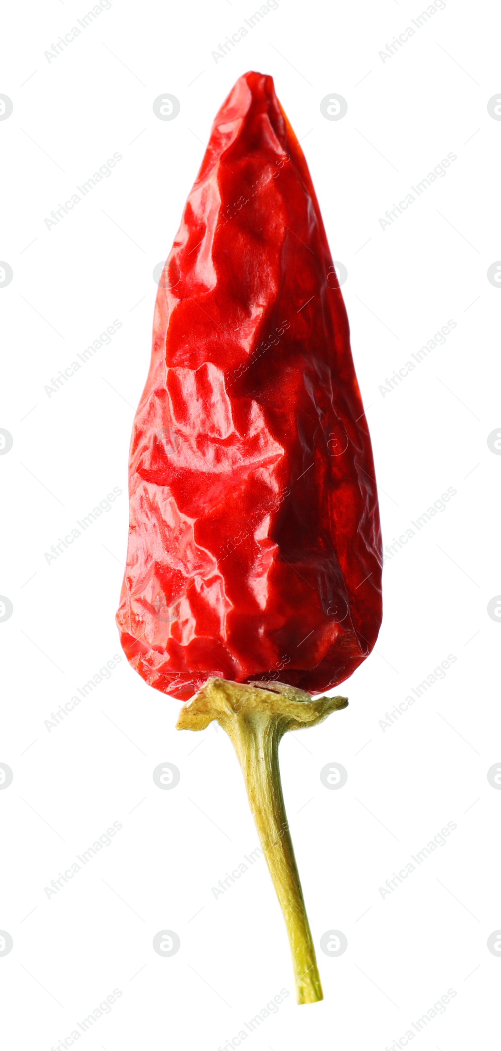 Photo of Dry red chili pepper isolated on white