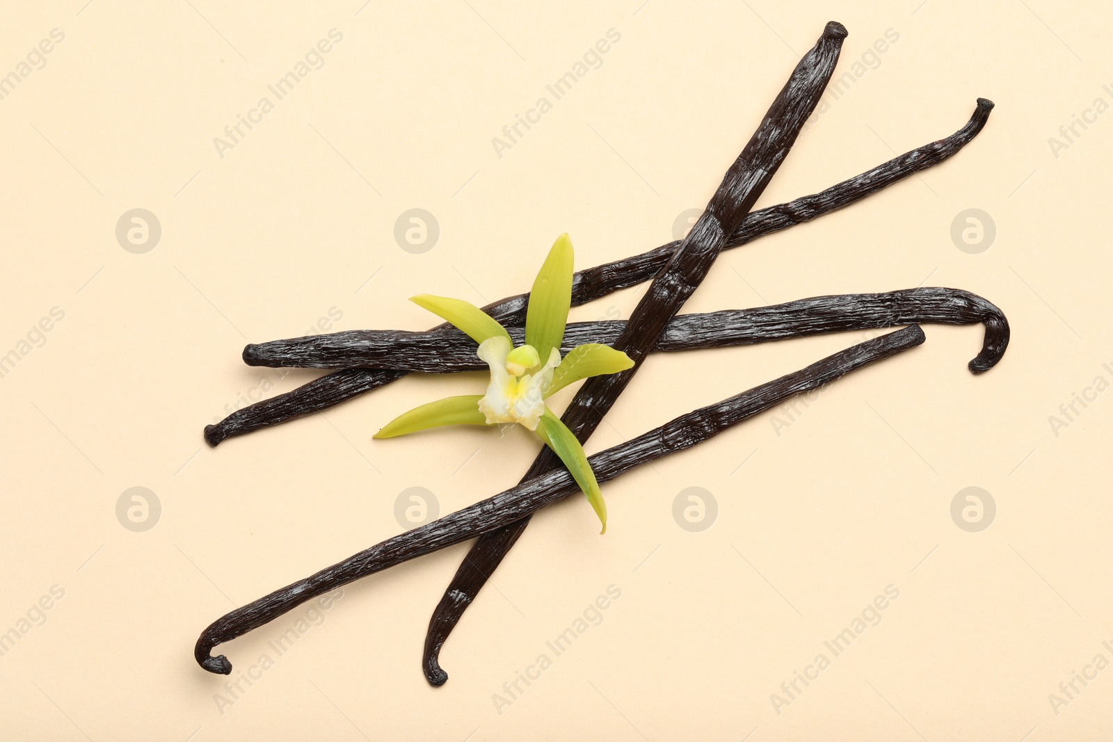 Photo of Vanilla pods and beautiful flower on beige background, top view