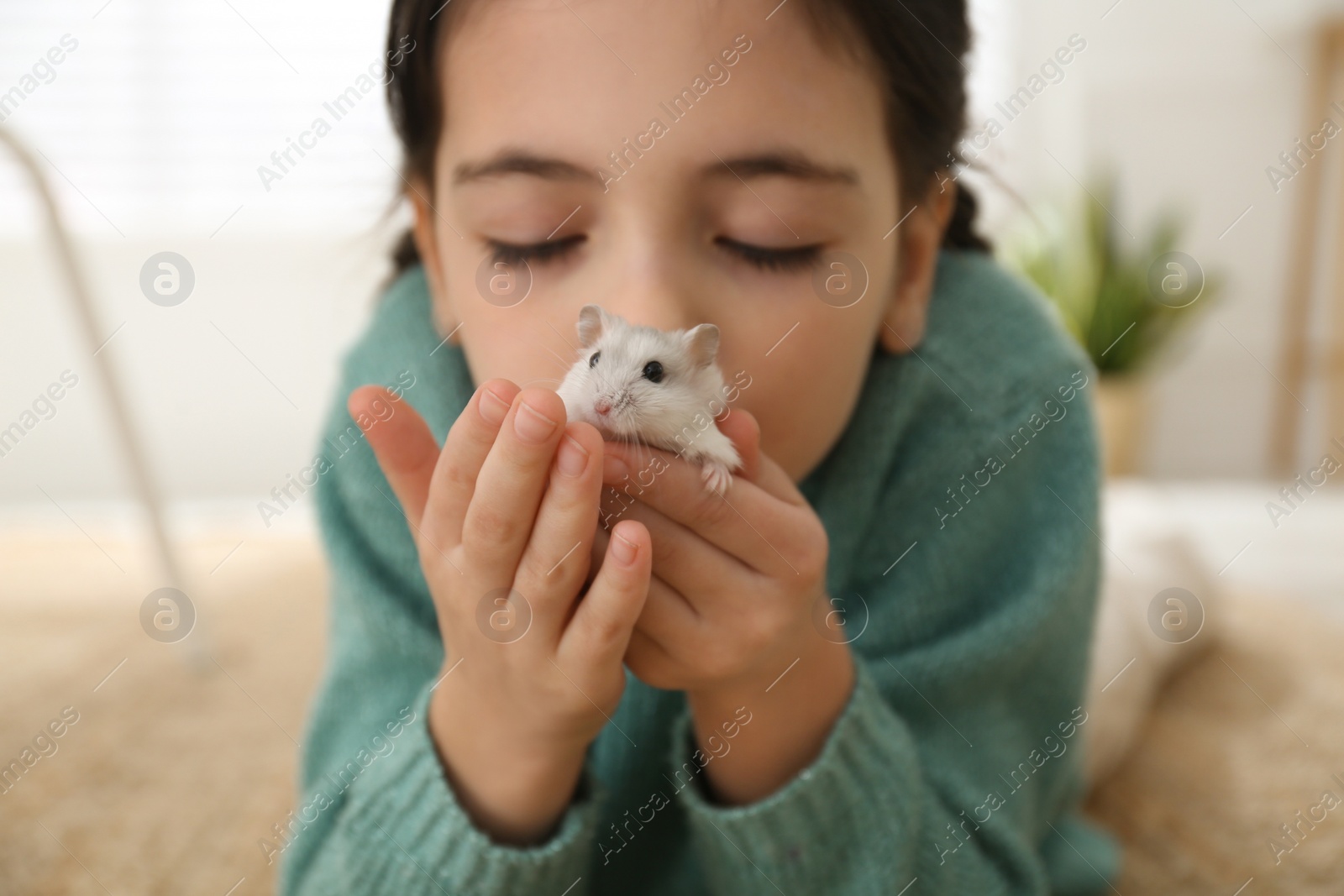 Photo of Little girl with cute hamster at home, closeup