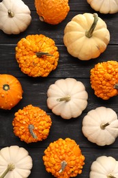 Photo of Different fresh ripe pumpkins on black wooden table, flat lay