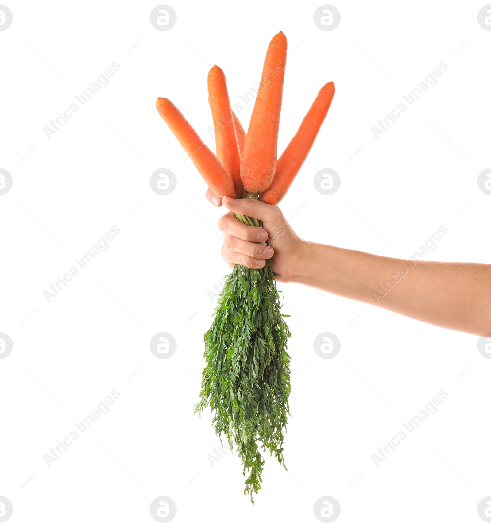 Woman holding bunch of fresh ripe carrots on white background, closeup Photo of Woman holding bunch of fresh ripe carrots on white background, closeup