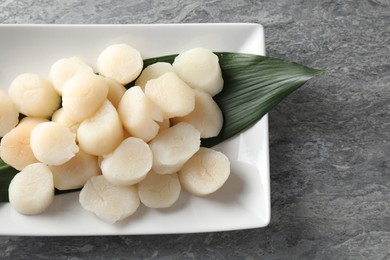 Photo of Fresh raw scallops on grey table, top view. Space for text