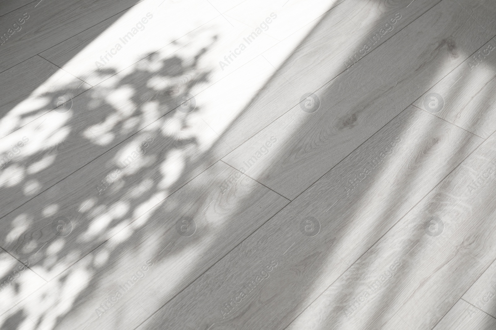 Photo of Shadow from window, curtains and houseplant on white laminated floor