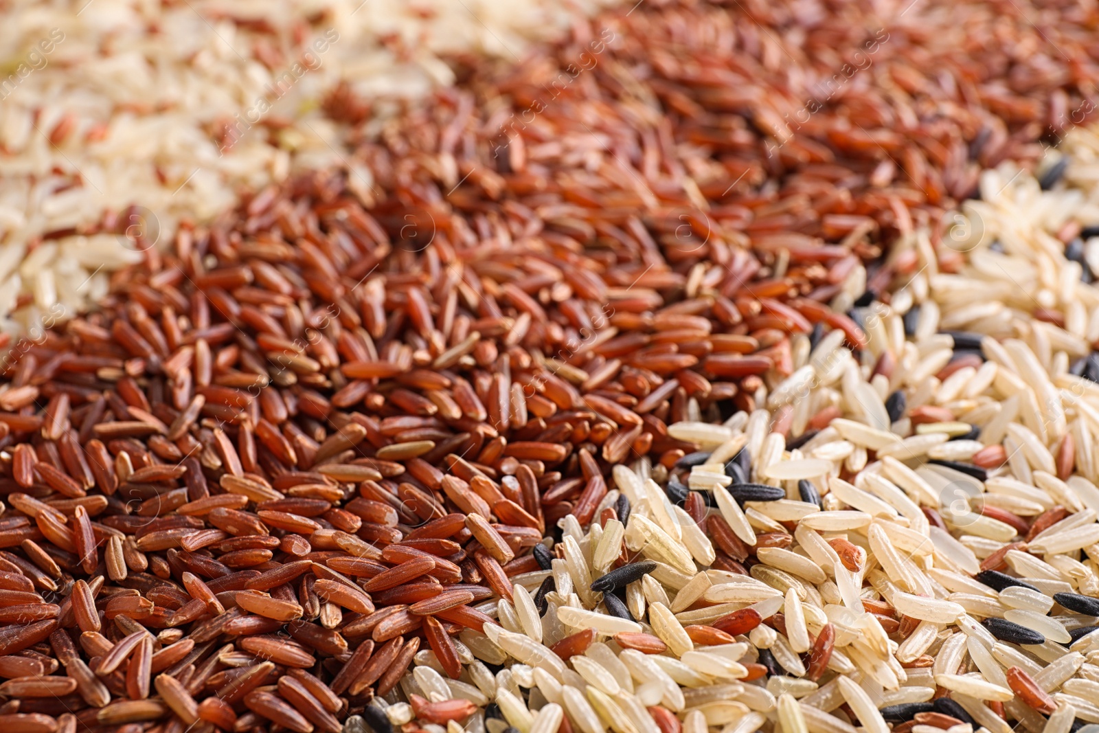 Photo of Mix of different brown rice as background, closeup