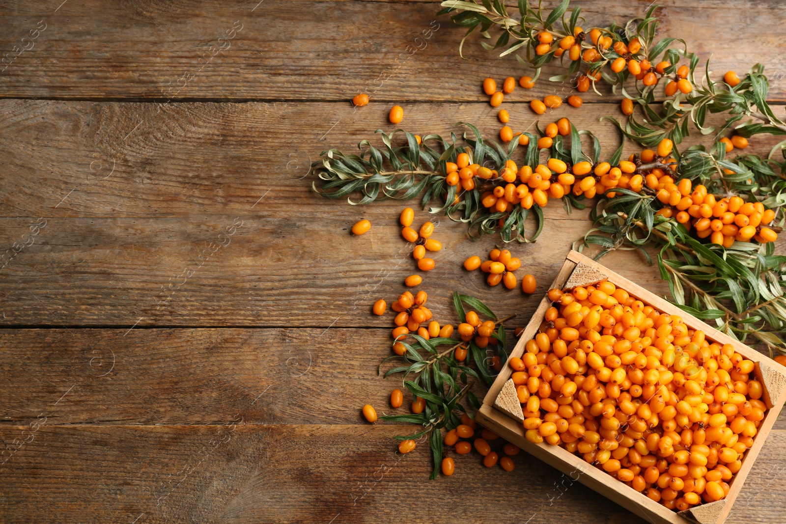 Photo of Ripe sea buckthorn berries on wooden table, flat lay. Space for text