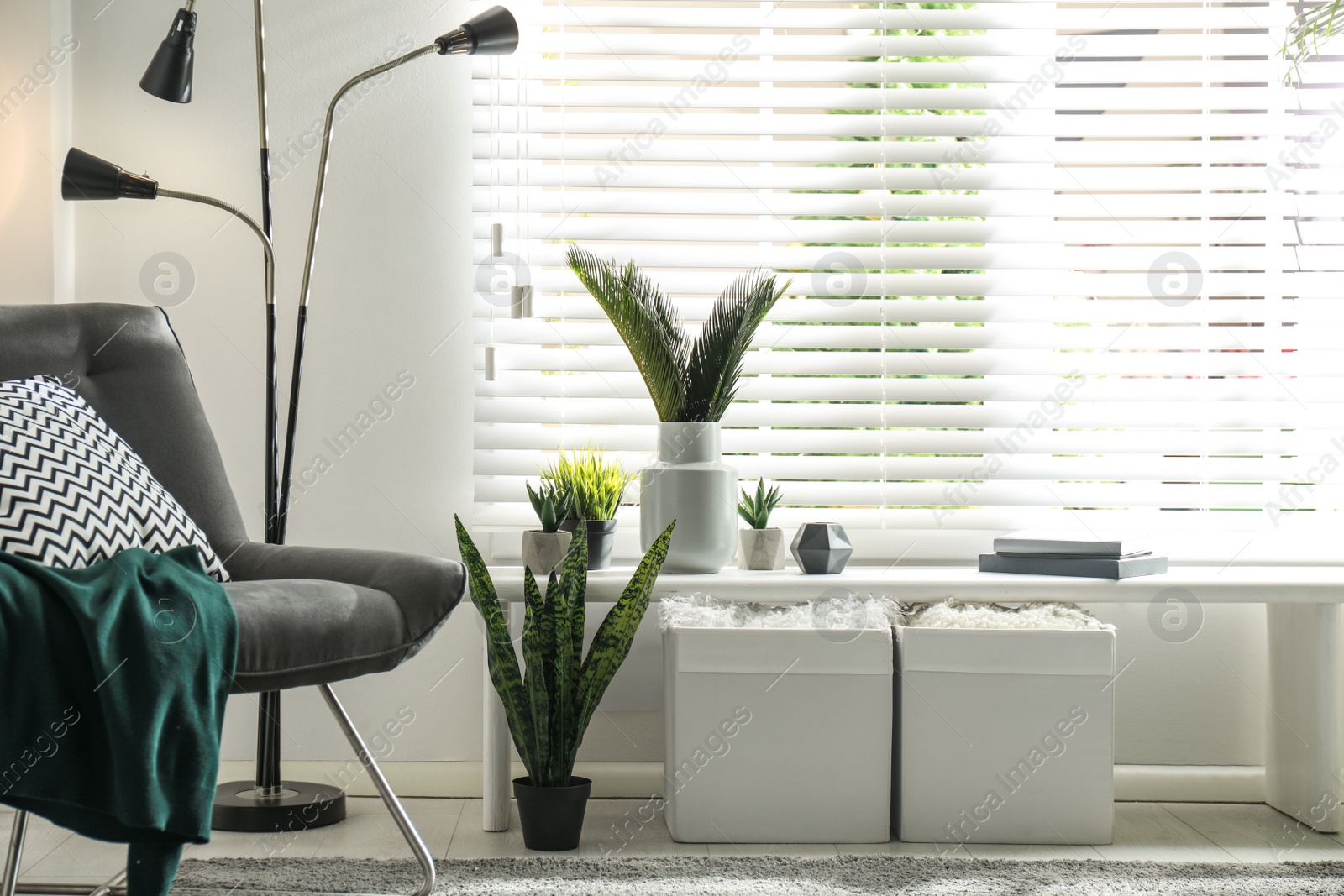 Photo of Beautiful tropical plants with lush leaves in stylish living room interior