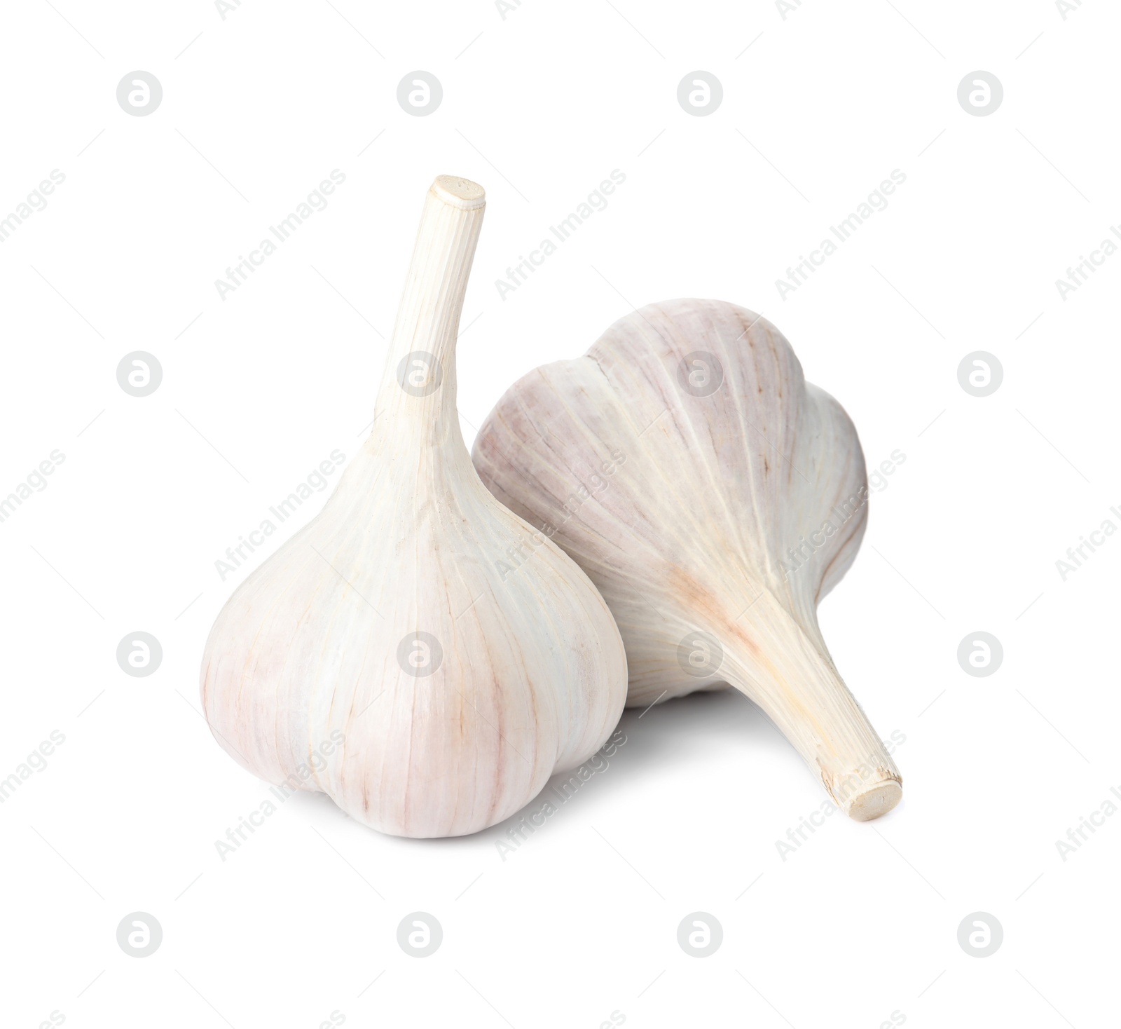 Photo of Fresh organic garlic bulbs on white background