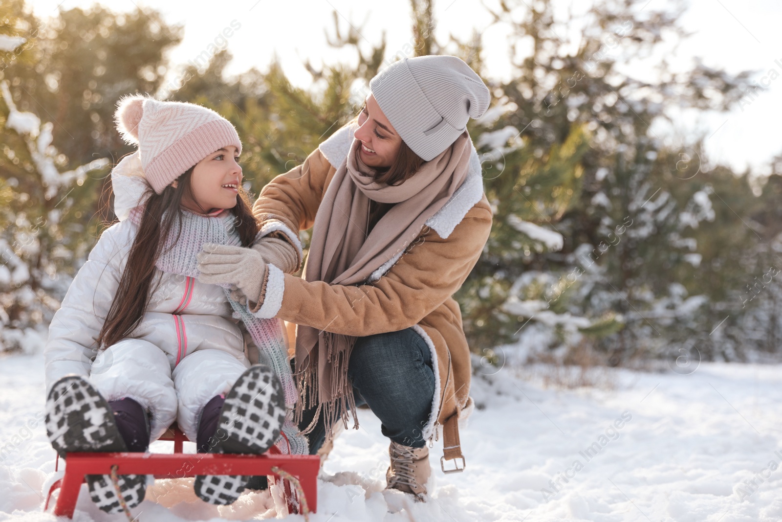 Photo of Young woman and her daughter with sledge outdoors on winter day. Christmas vacation