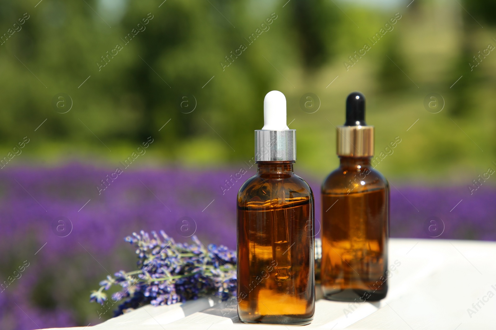 Photo of Bottles of essential oil and lavender flowers on white wooden table in field, closeup