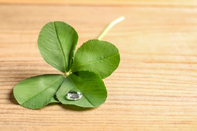 Green four-leaf clover on wooden background with space for text