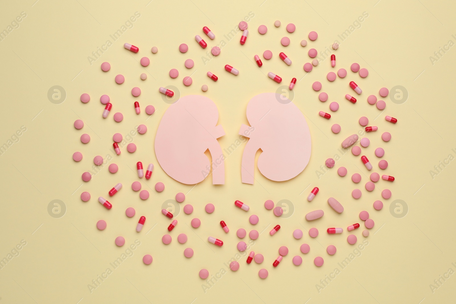 Photo of Paper cutout of kidneys and pills on beige background, flat lay