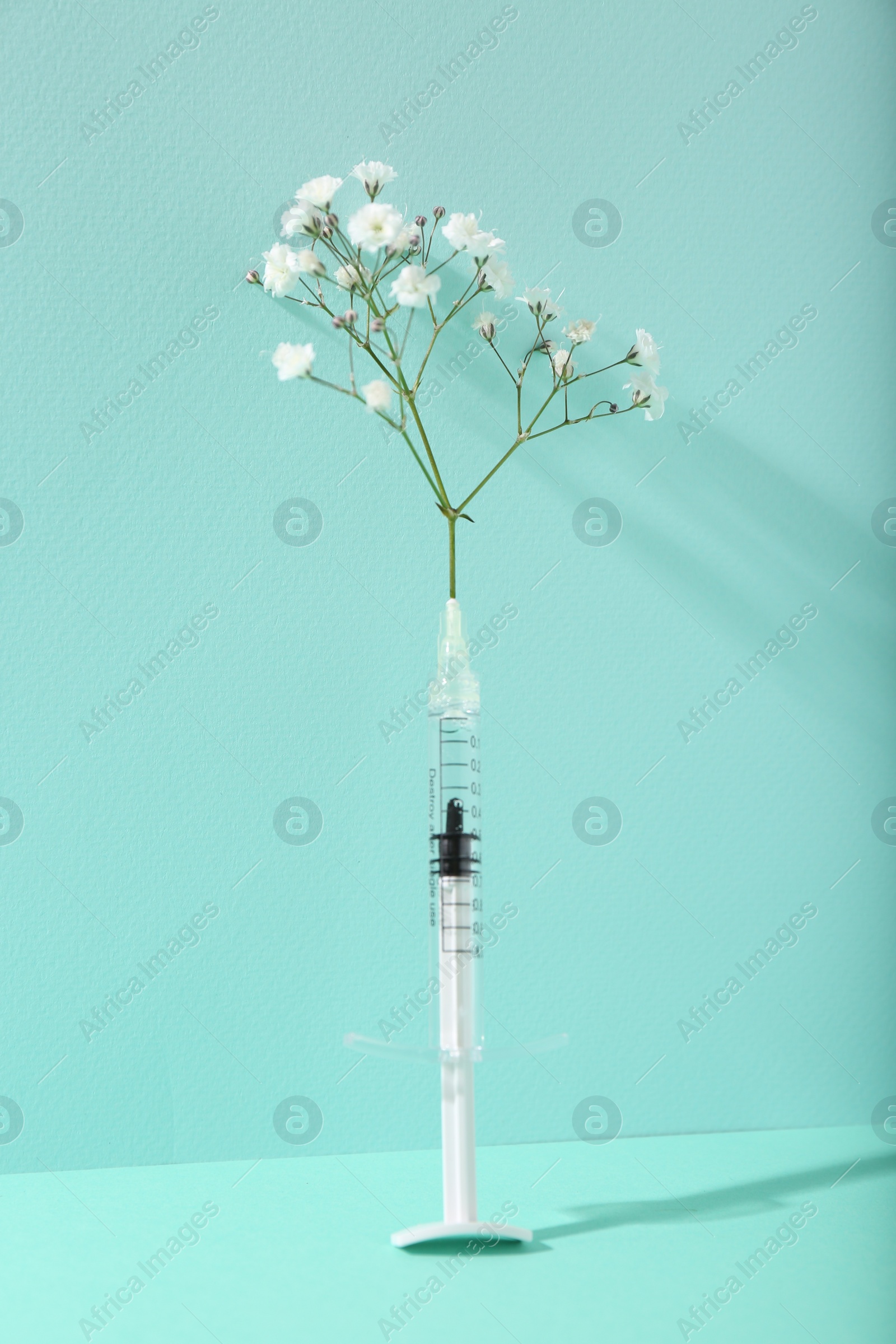 Photo of Cosmetology. Medical syringe and gypsophila on turquoise background