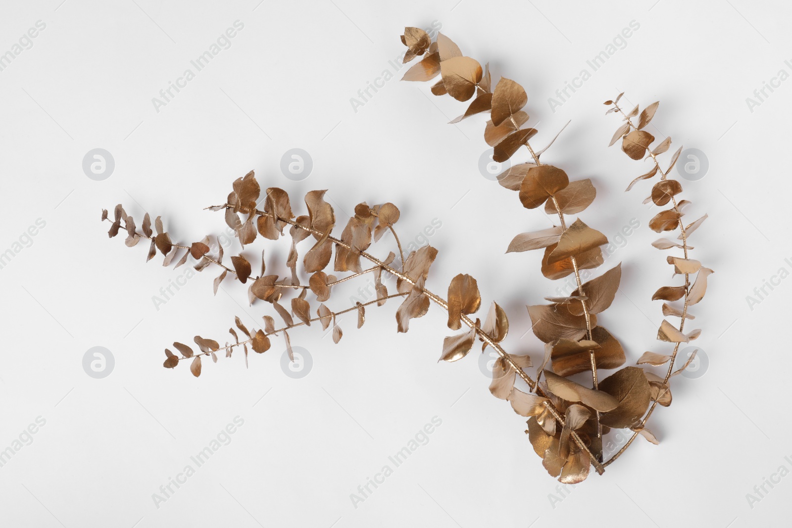 Photo of Shiny golden branch with leaves on white background, top view. Decor element