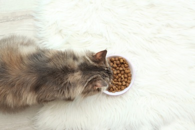 Photo of Adorable Maine Coon cat near bowl of food on fluffy rug at home, top view. Space for text