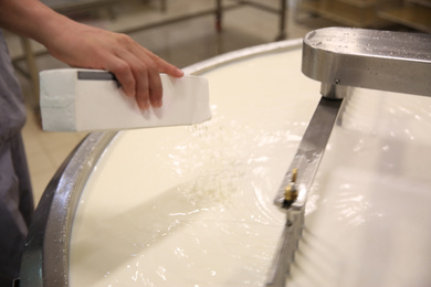 Worker adding culture to milk in curd preparation tank at cheese factory, closeup