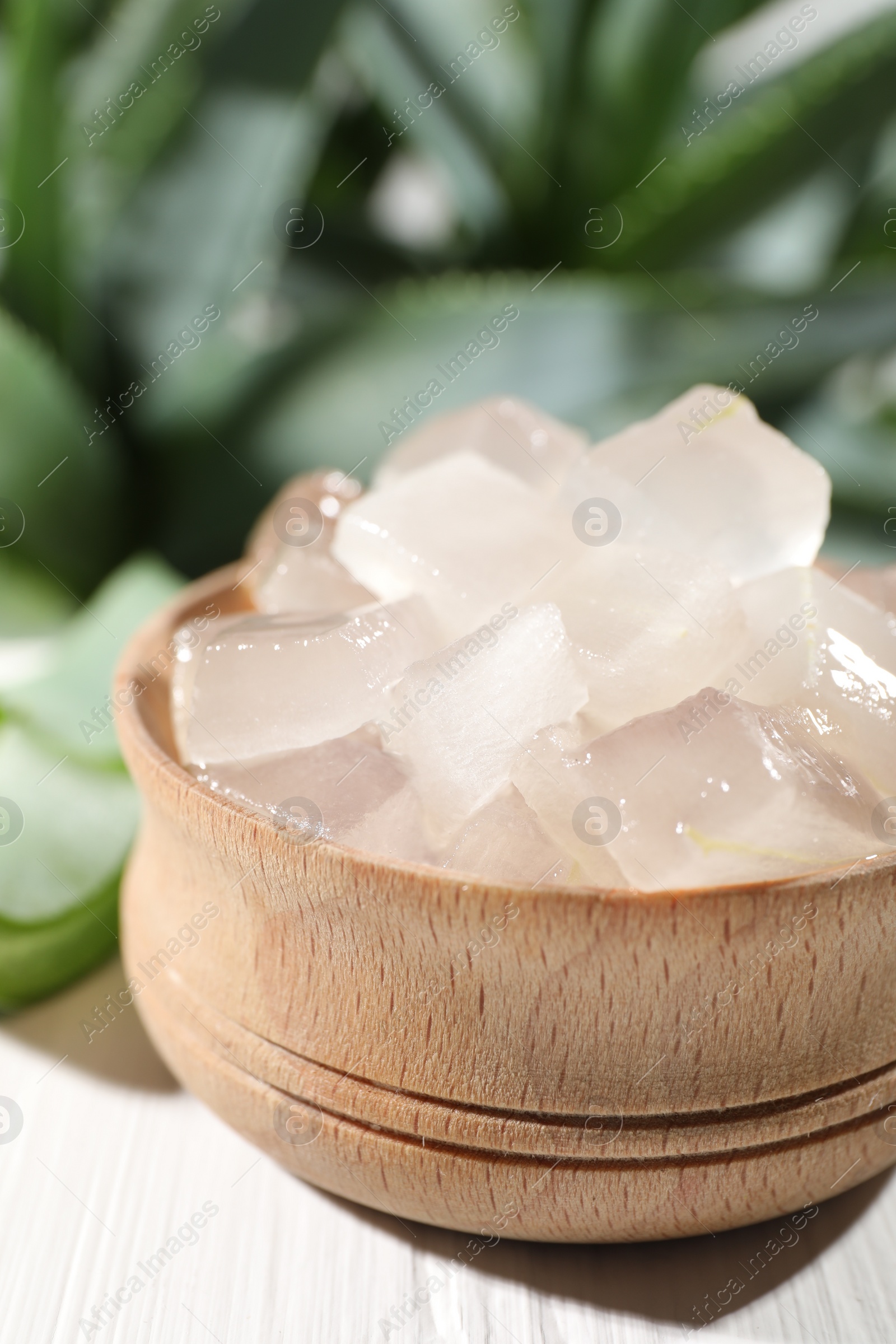 Photo of Aloe vera gel in bowl and slices of plant on white wooden table, closeup