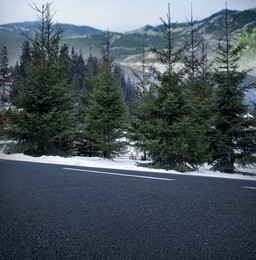 Image of Beautiful view of mountain landscape with conifer trees and empty asphalt road  
