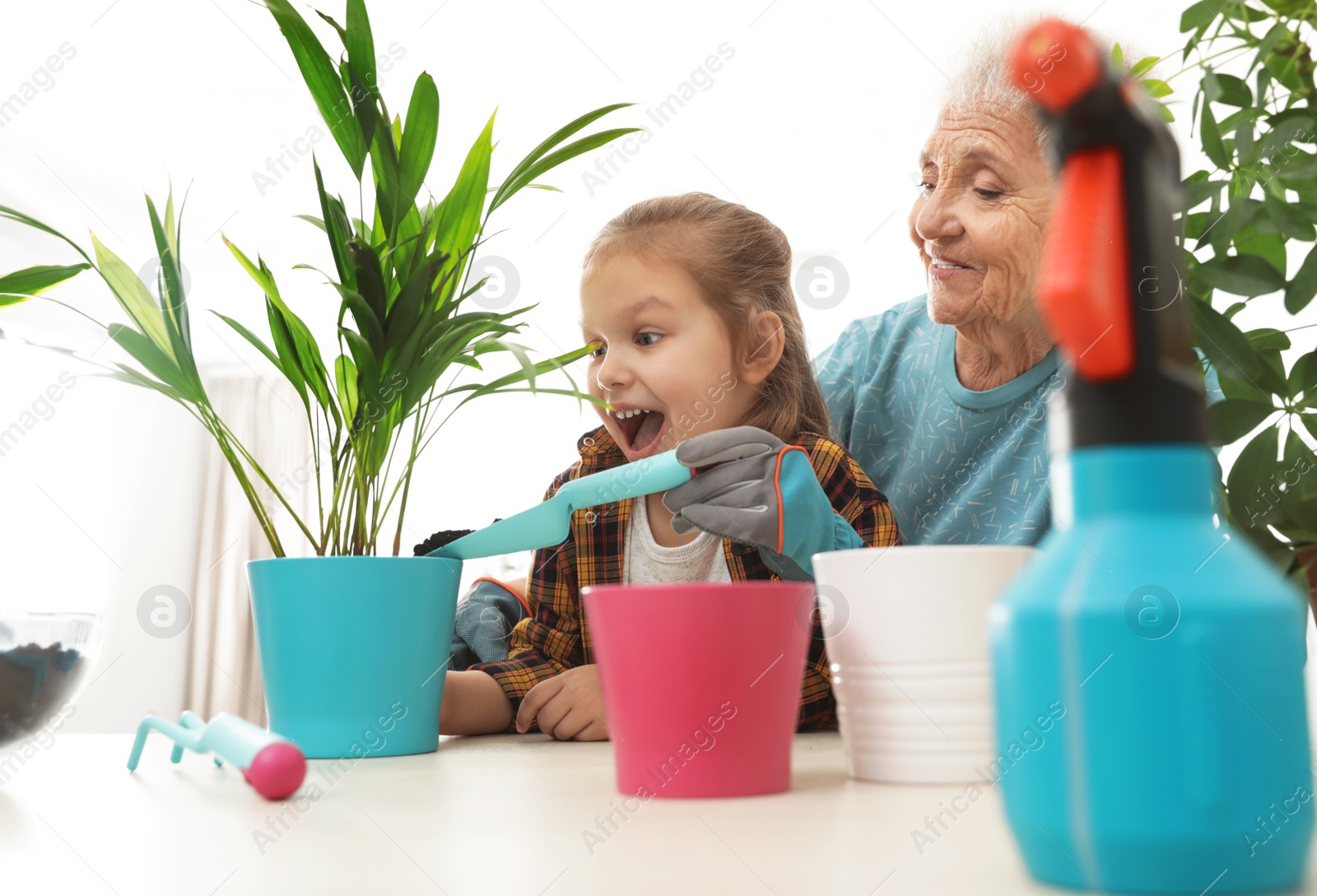 Photo of Little girl and her grandmother taking care of plants indoors