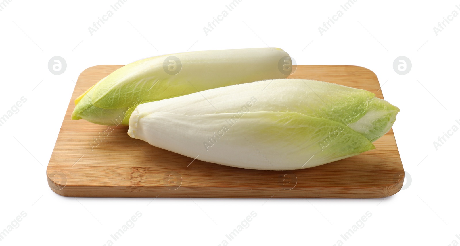 Photo of Raw ripe chicories on white background. Belgian endive