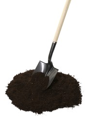 Photo of Shovel and pile of soil isolated on white