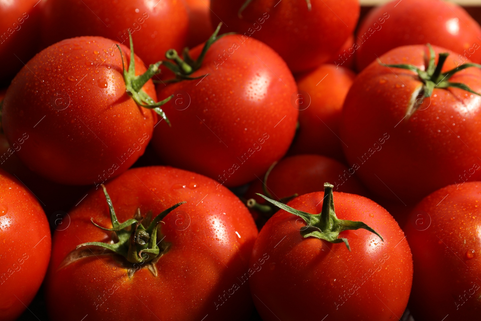 Photo of Fresh ripe red tomatoes as background, closeup