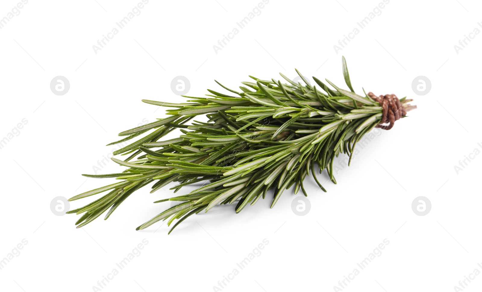 Photo of Bunch of fresh rosemary isolated on white
