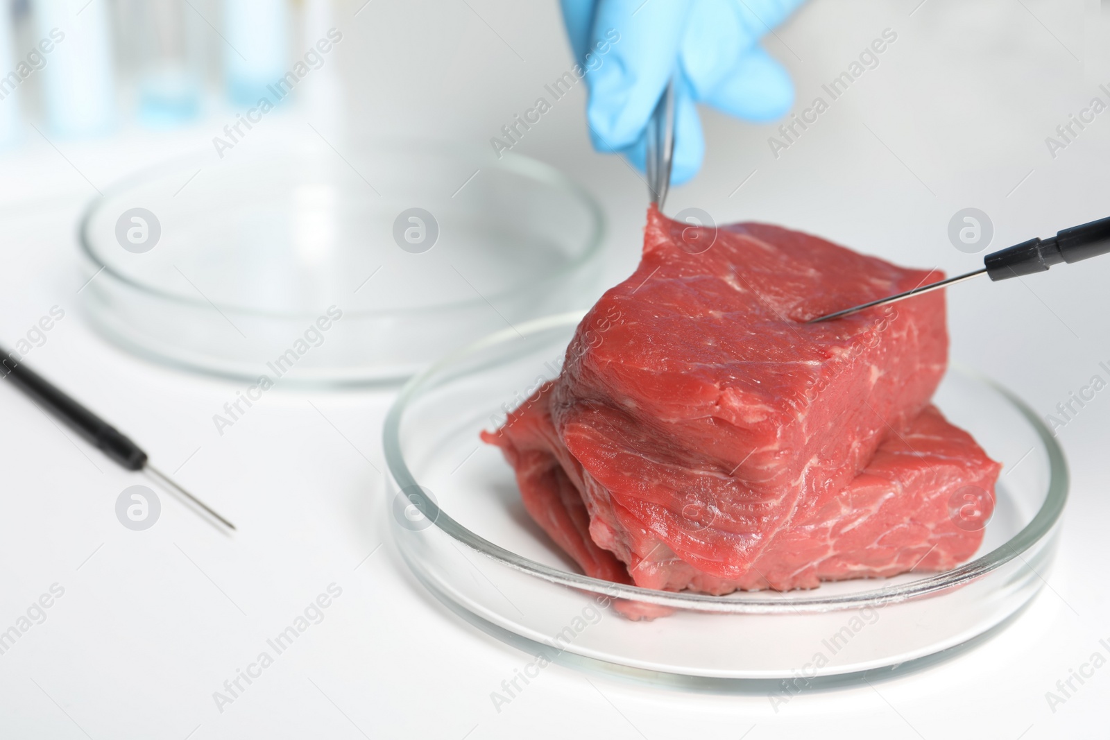 Photo of Scientist with dissecting needle and tweezers examining piece of raw cultured meat at white table, closeup. Space for text