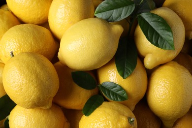 Photo of Fresh lemons and green leaves as background, top view