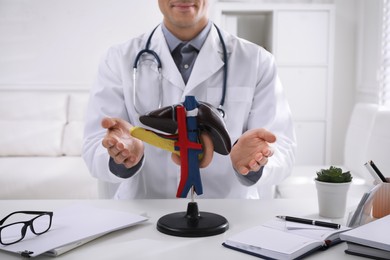 Doctor demonstrating model of liver at table in clinic, closeup