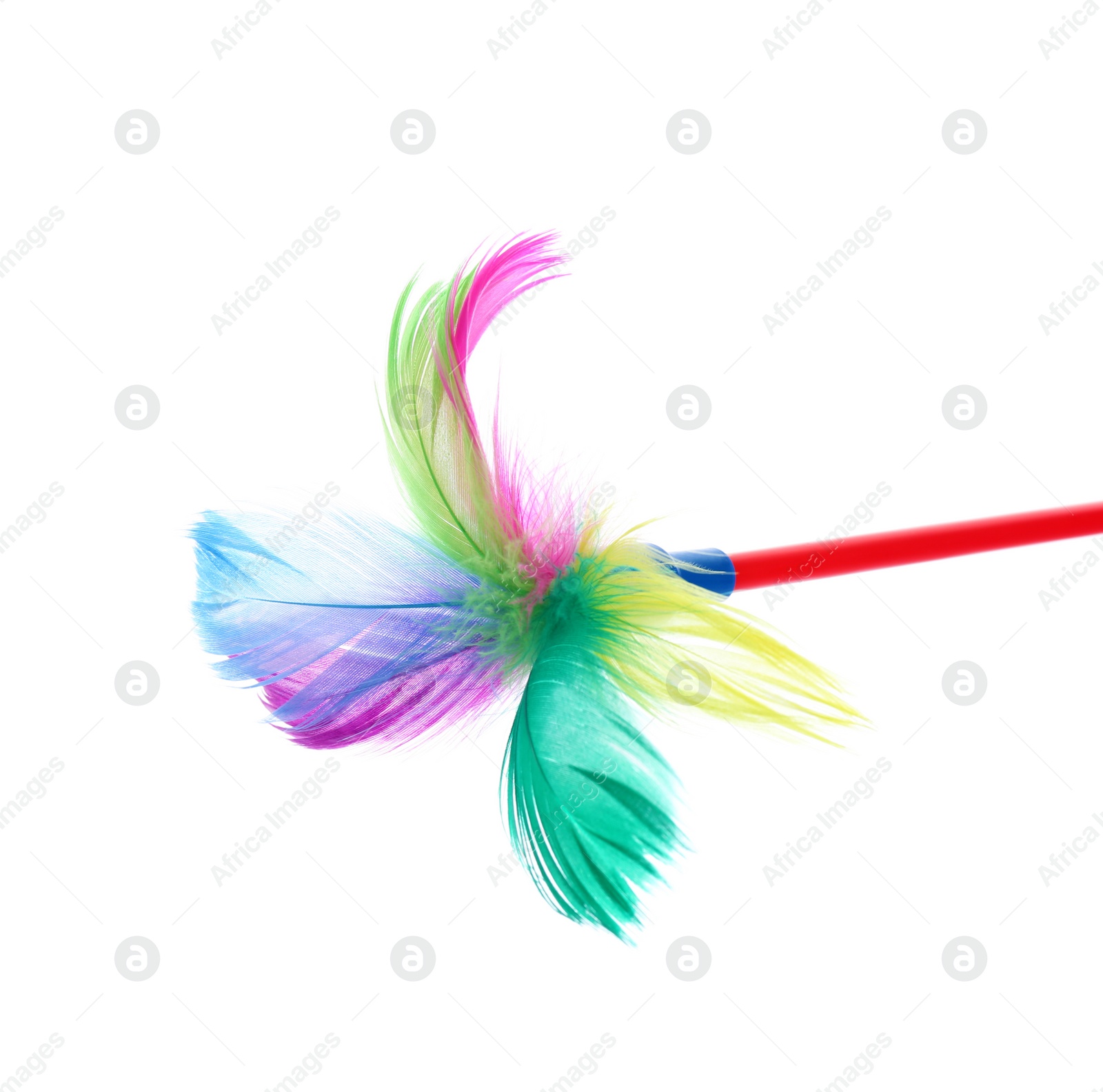 Photo of Feather wand for cat on white background. Pet toys