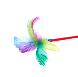 Photo of Feather wand for cat on white background. Pet toys