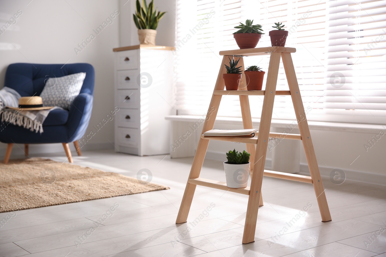 Photo of Stylish living room interior with wooden ladder and houseplants