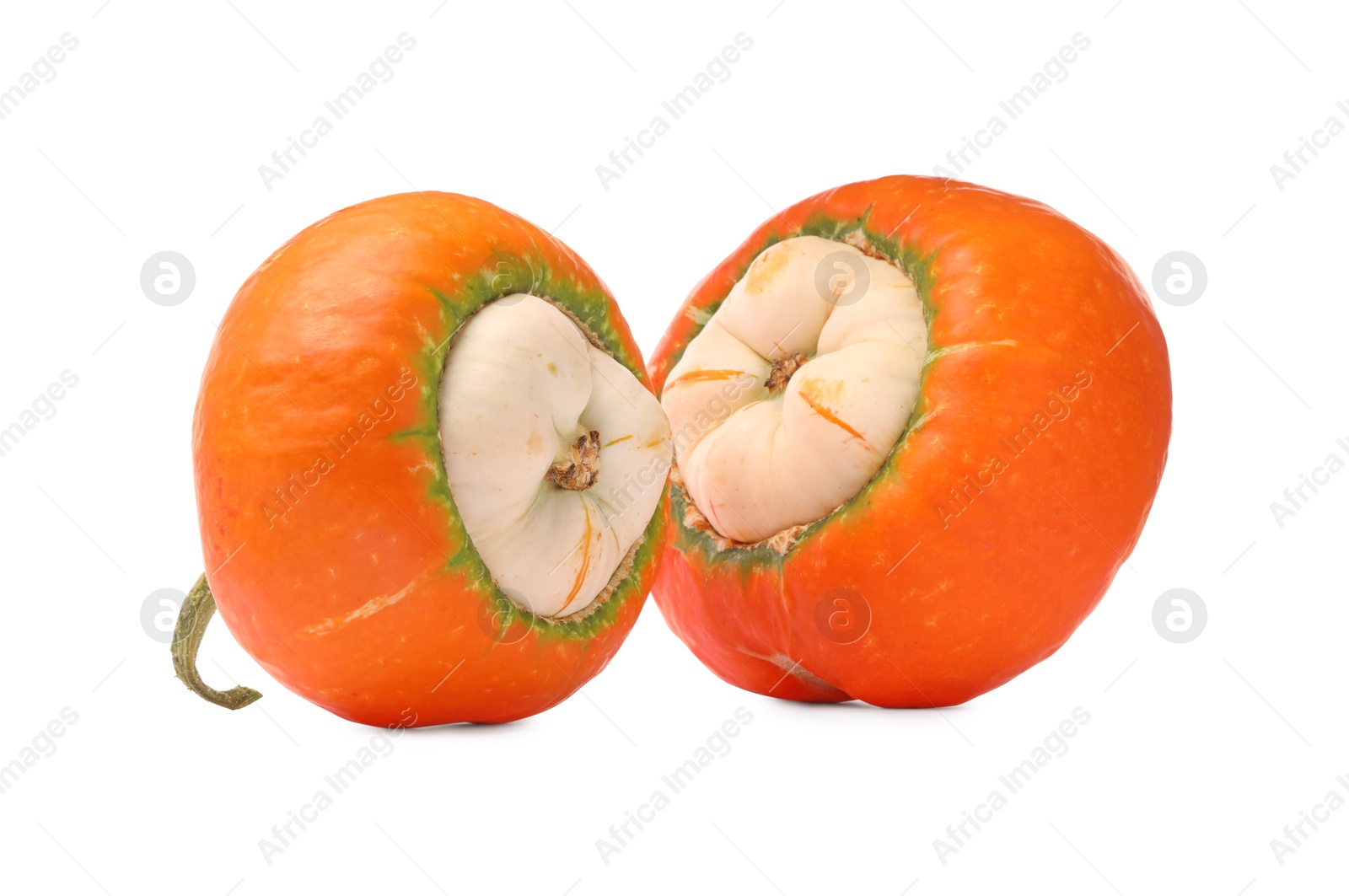 Photo of Two fresh ripe pumpkins isolated on white