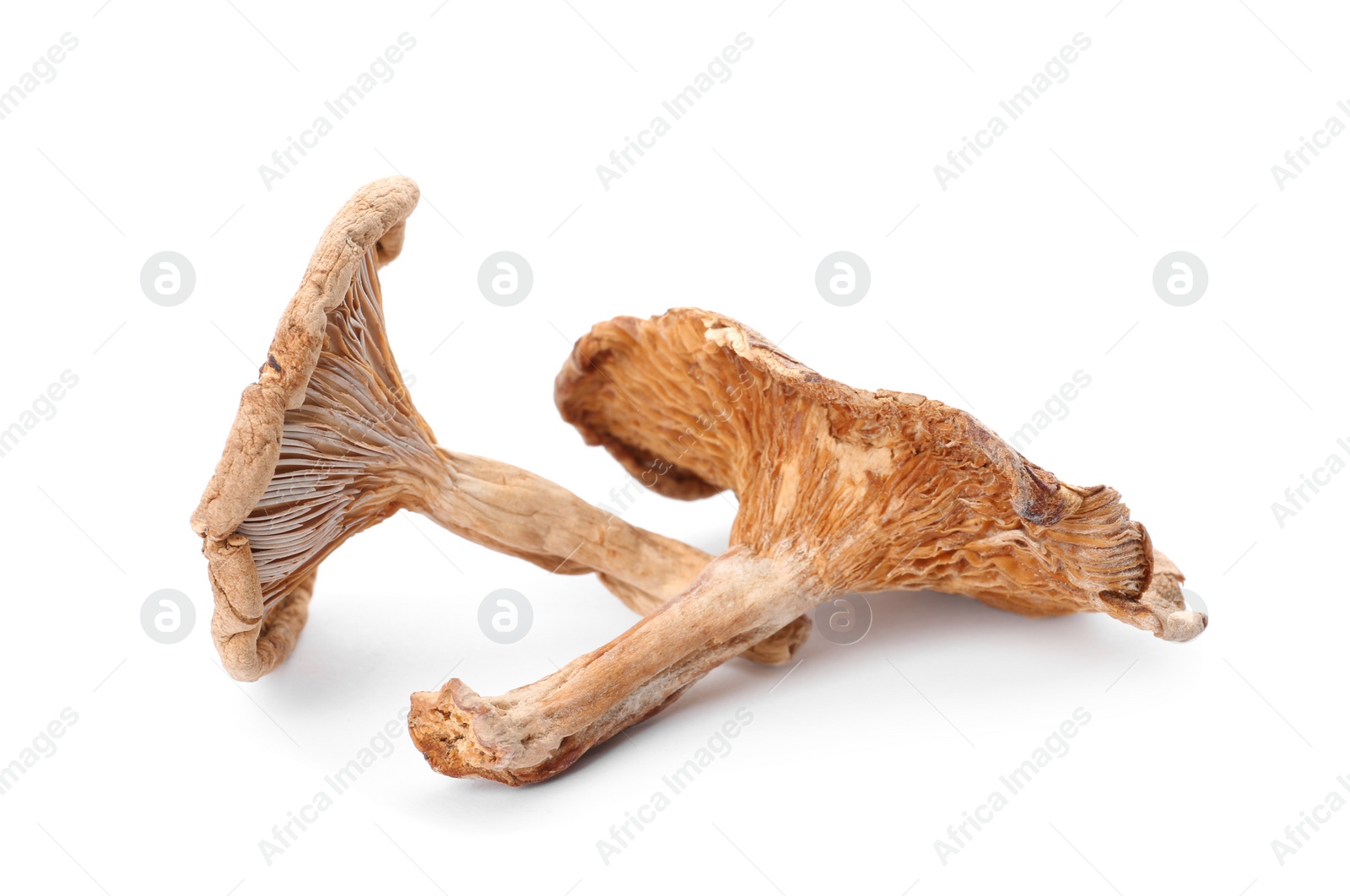 Photo of Delicious organic dried mushrooms on white background