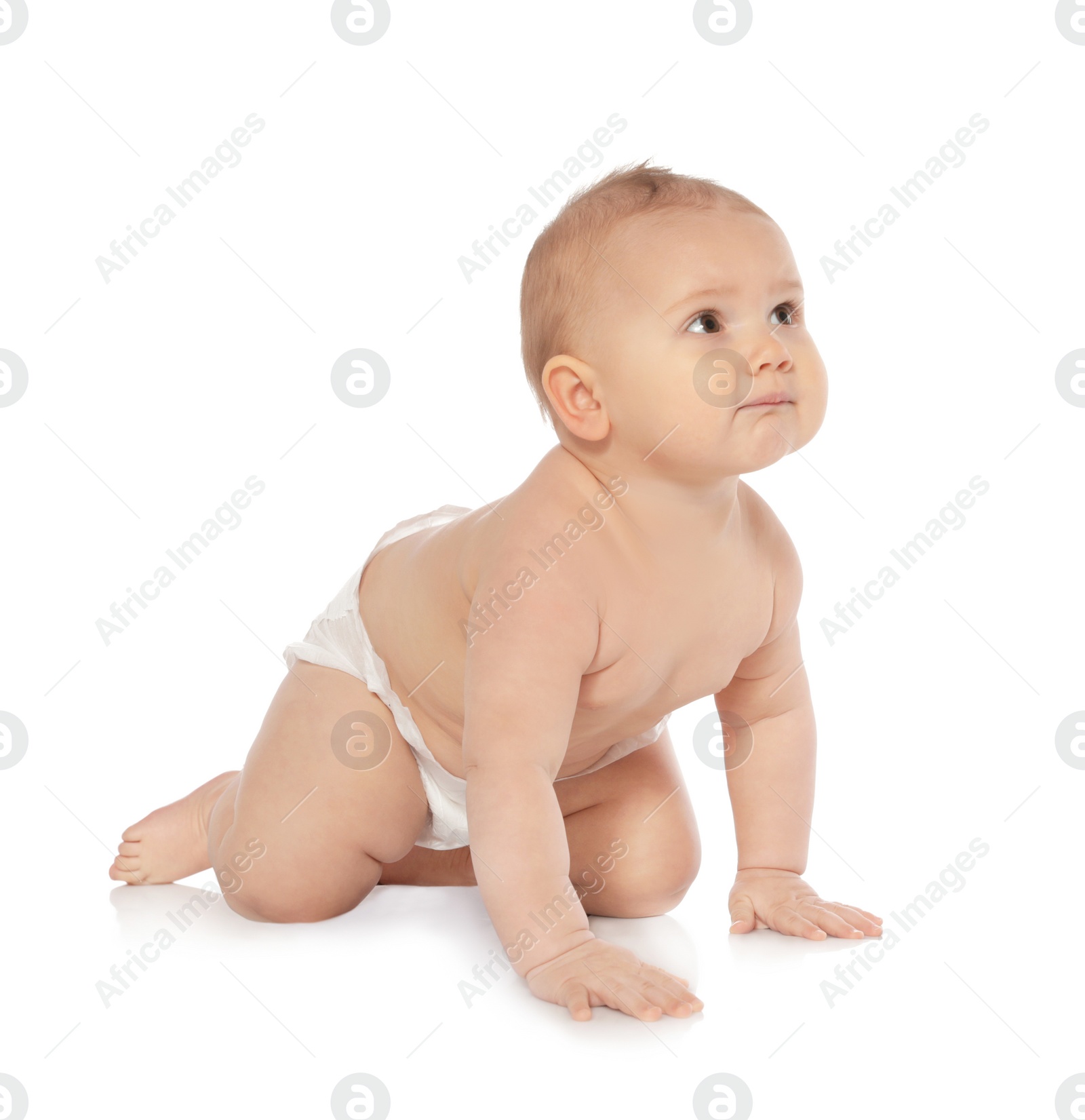 Photo of Cute little baby crawling on white background