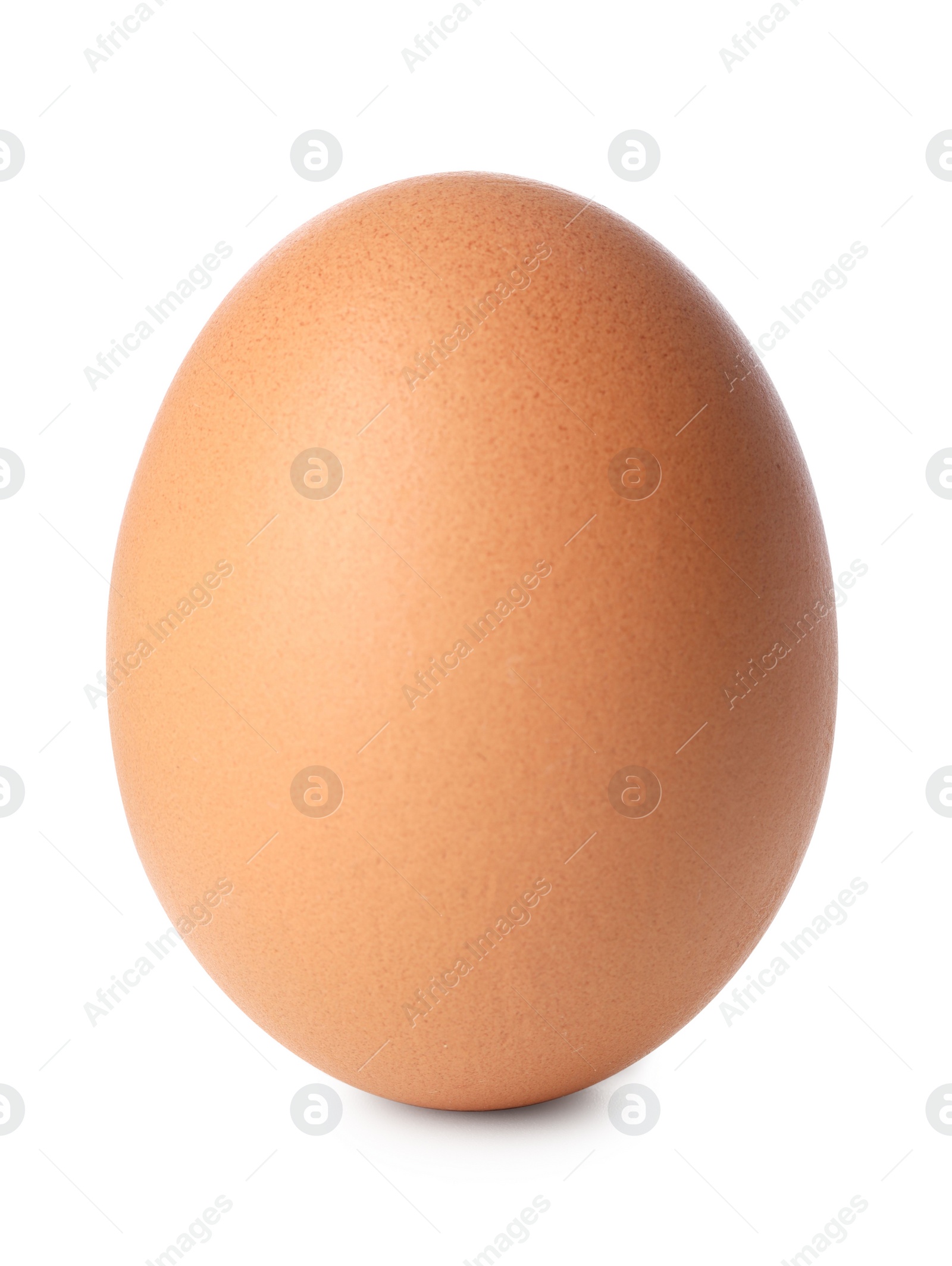 Photo of One raw chicken egg isolated on white