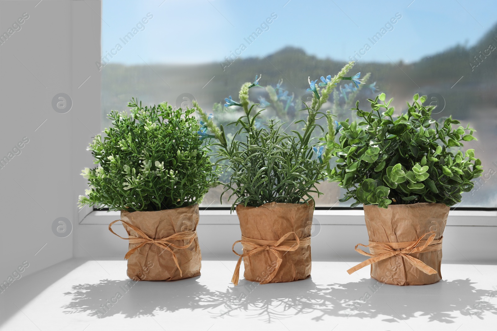 Photo of Artificial potted herbs on sunny day on windowsill indoors. Home decor