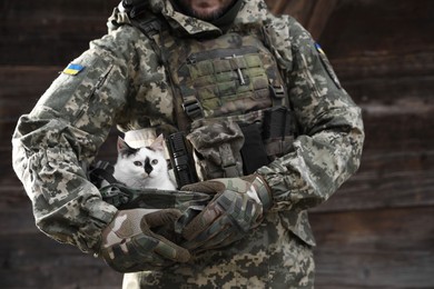 Ukrainian soldier rescuing animal. Little stray cat sitting in helmet outdoors, closeup