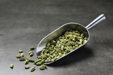 Photo of Scoop with dry cardamom pods on dark grey table