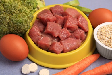 Photo of Raw meat in bowl, vitamins and products for pet on color background, closeup