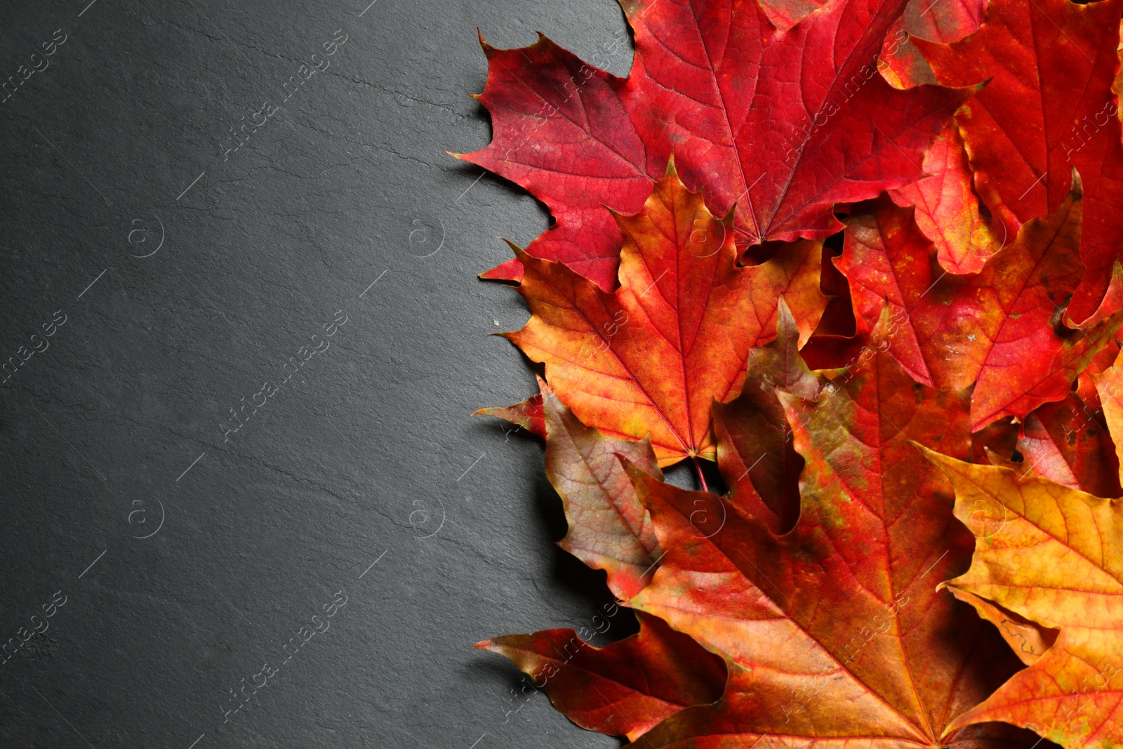 Photo of Flat lay composition with autumn leaves on grey stone background. Space for text