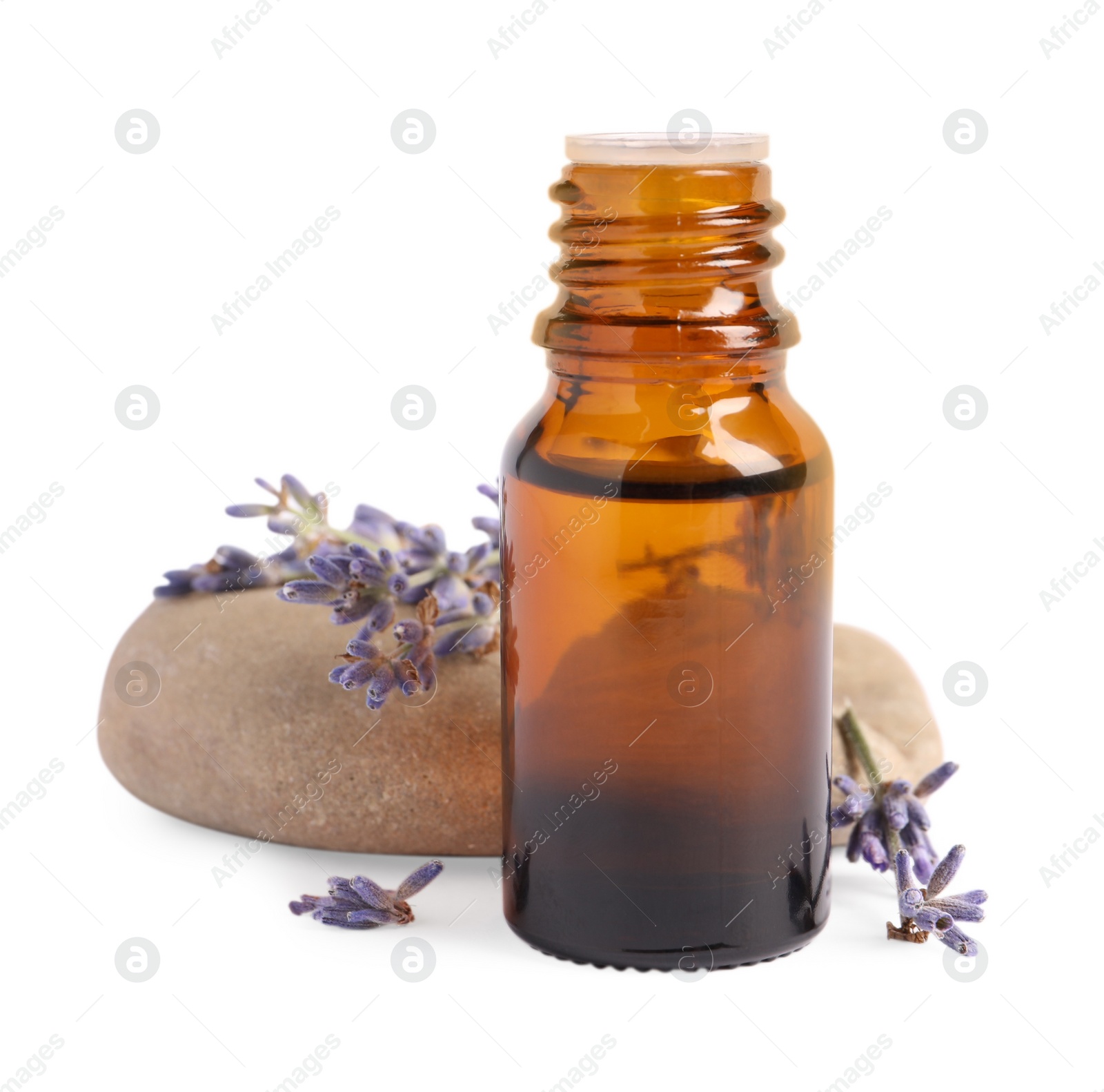 Photo of Bottle of essential oil and lavender flowers on white background