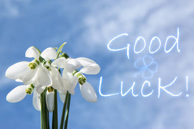 Image of Bouquet of beautiful snowdrops and phrase GOOD LUCK against blue sky