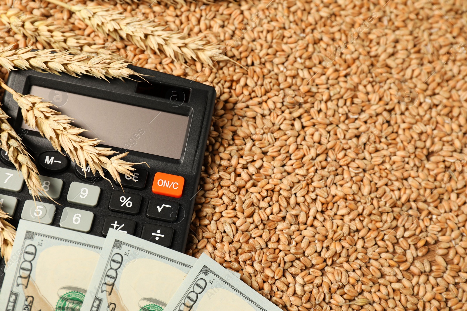 Photo of Dollar banknotes, calculator and wheat ears on grains, closeup. Agricultural business