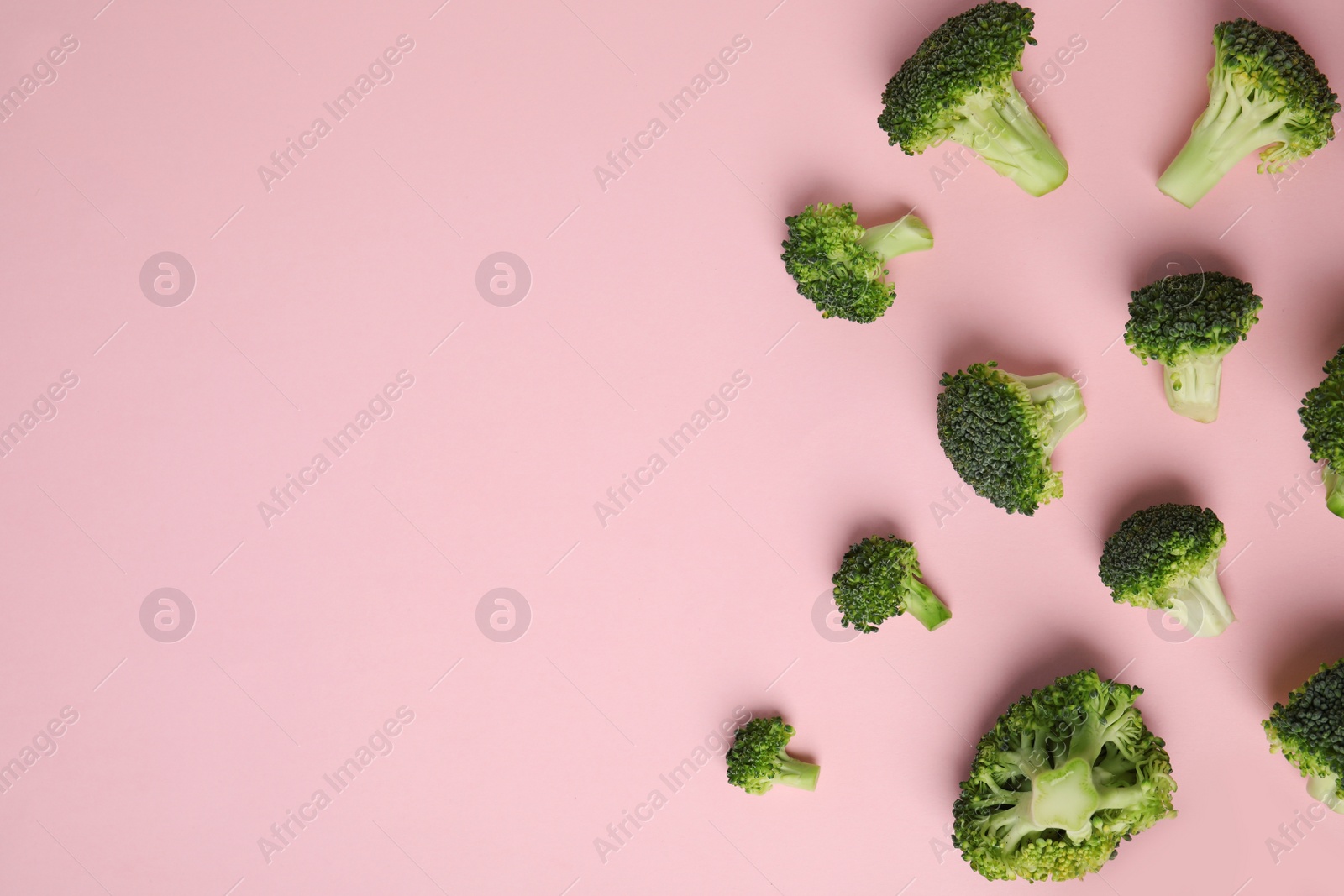 Photo of Flat lay composition with fresh green broccoli on color background. Space for text