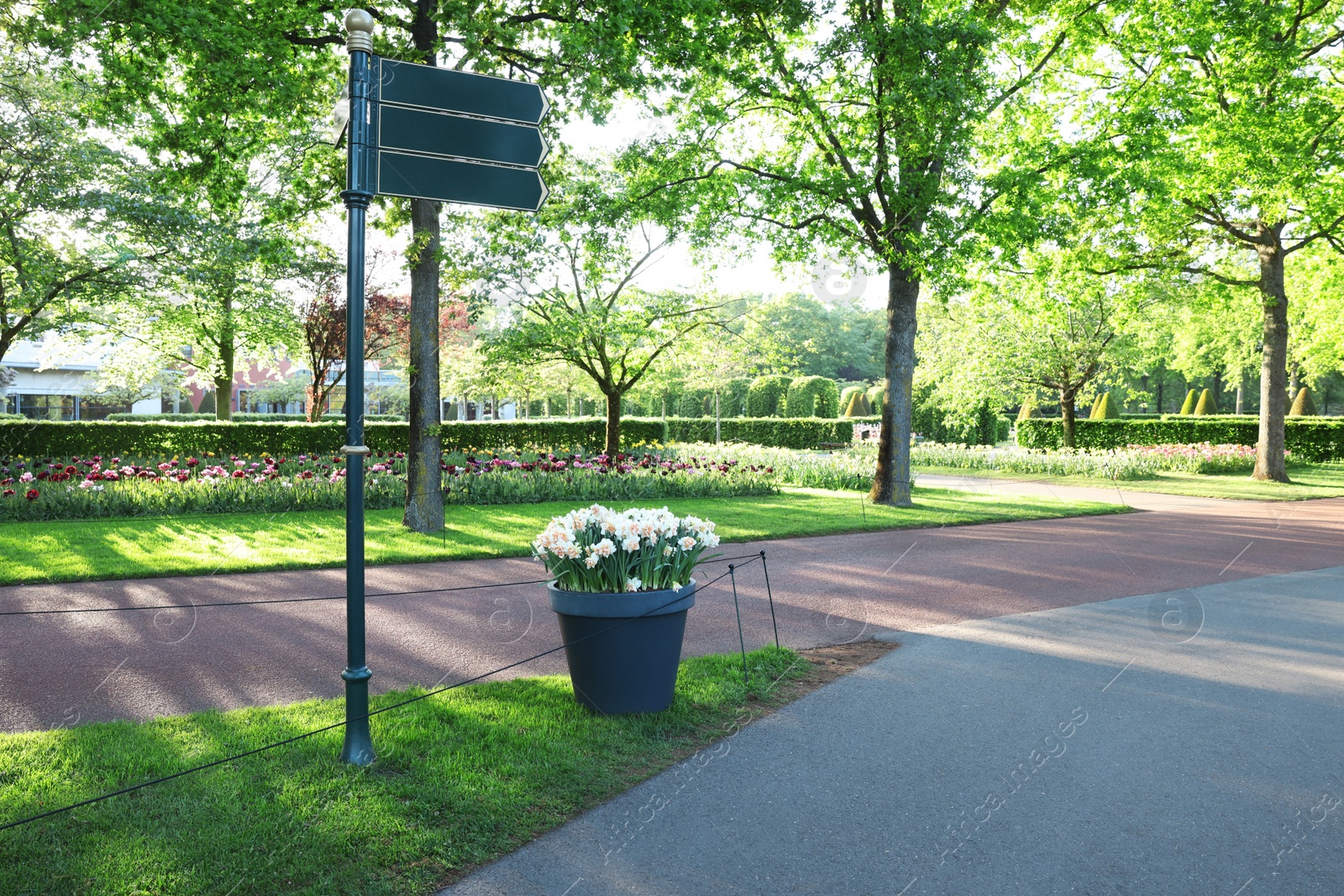 Photo of Park with variety of beautiful flowers and guide sign on sunny day. Spring season