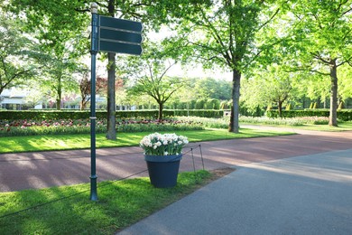 Photo of Park with variety of beautiful flowers and guide sign on sunny day. Spring season