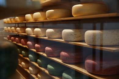 Photo of Fresh cheese heads on rack in factory warehouse
